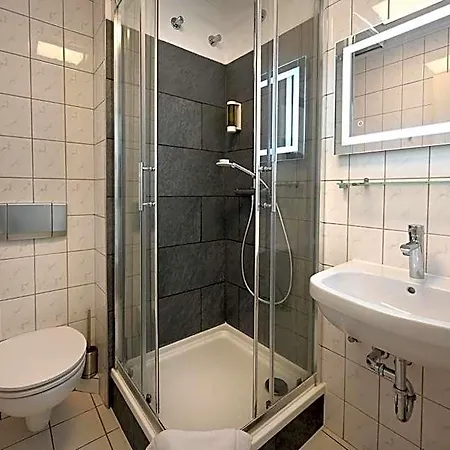 فندق Buergerhof 3*